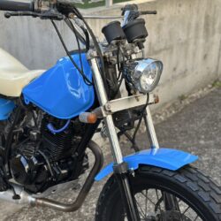 写真：ヤマハTW200-2