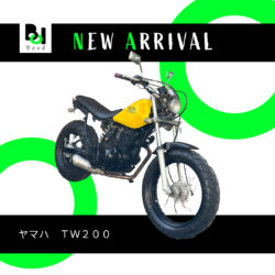 写真:ヤマハ TW200