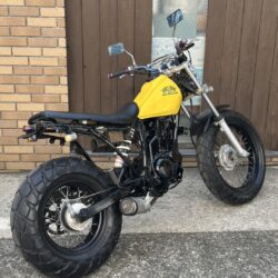 写真:ヤマハ TW200