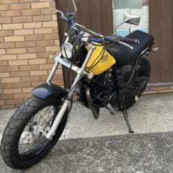 写真:ヤマハ TW200