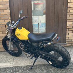 写真:ヤマハ TW200
