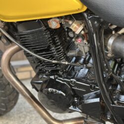 写真:ヤマハ TW200