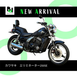 写真：カワサキエリミネーター250SE