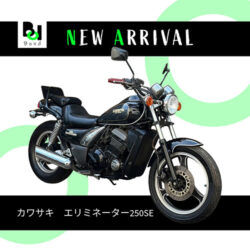 写真：カワサキエリミネーター250SE