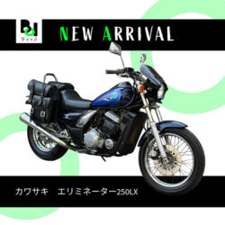 写真：カワサキエリミネーター250LX