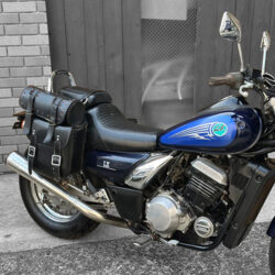 写真：カワサキエリミネーター250LX