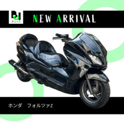 写真：ホンダフォルツァZ