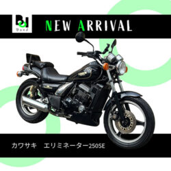 写真：カワサキエリミネーター250SE