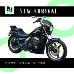 写真：カワサキエリミネーター250SE
