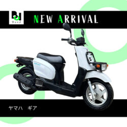 写真：ヤマハギア