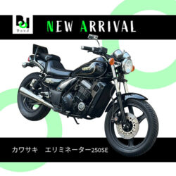 写真：カワサキエリミネーター250SE