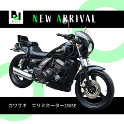 写真：カワサキエリミネーター250SE