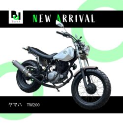 写真：ヤマハTW200