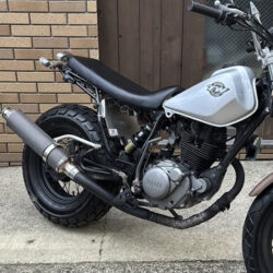 写真：ヤマハTW200