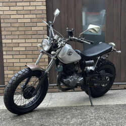 写真：ヤマハTW200