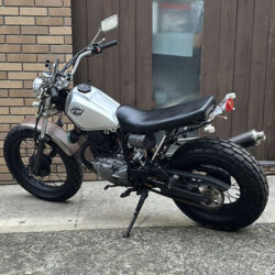 写真：ヤマハTW200