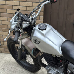 写真：ヤマハTW200