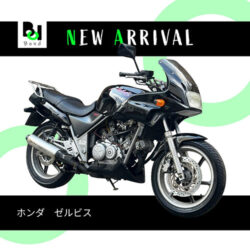 写真：ホンダゼルビス