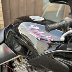 写真：ホンダゼルビス