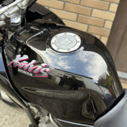 写真：ホンダゼルビス