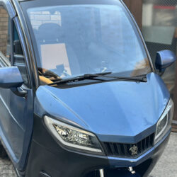 写真：ビーグルファンVF-3