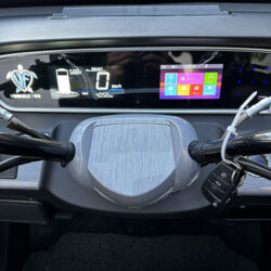 写真：ビーグルファンVF-3