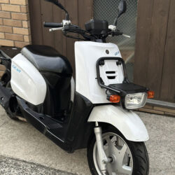 写真：ヤマハギア