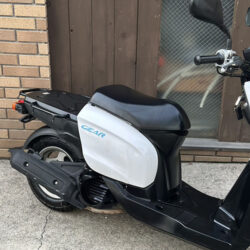 写真：ヤマハギア