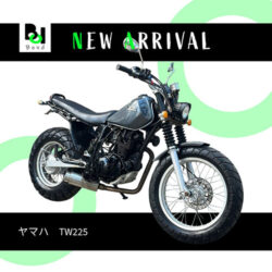 写真：ヤマハTW225