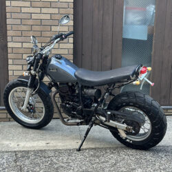 写真：ヤマハTW225