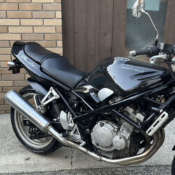 写真：スズキバンディッド250