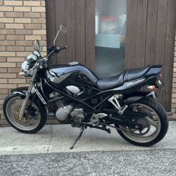 写真：スズキバンディッド250