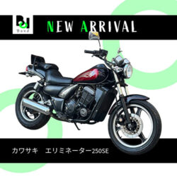 写真：カワサキエリミネーター250SE