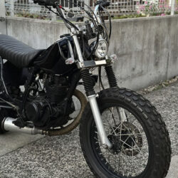 写真：ヤマハTW200