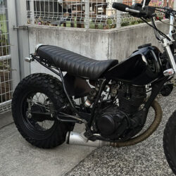 写真：ヤマハTW200