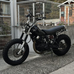 写真：ヤマハTW200