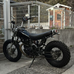 写真：ヤマハTW200