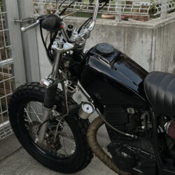 写真：ヤマハTW200