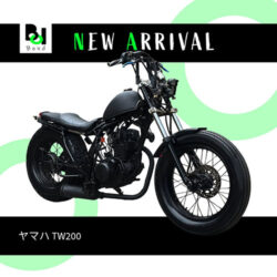 写真：ヤマハTW200