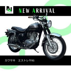 写真：カワサキエストレヤRS