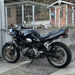 写真：スズキバンディッド250