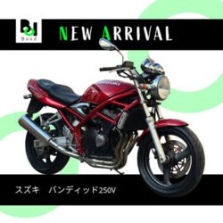 写真：スズキバンディッド250V