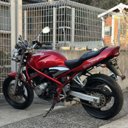 写真：スズキバンディッド250V