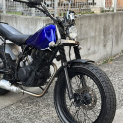 写真：ヤマハTW200