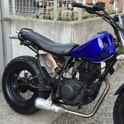 写真：ヤマハTW200