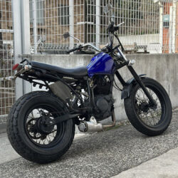 写真：ヤマハTW200