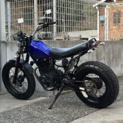 写真：ヤマハTW200