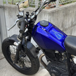 写真：ヤマハTW200