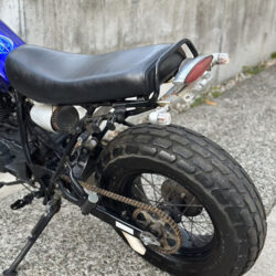 写真：ヤマハTW200