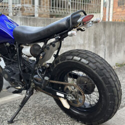 写真：ヤマハTW200